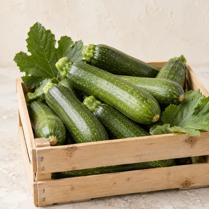 Zucchine (demo)